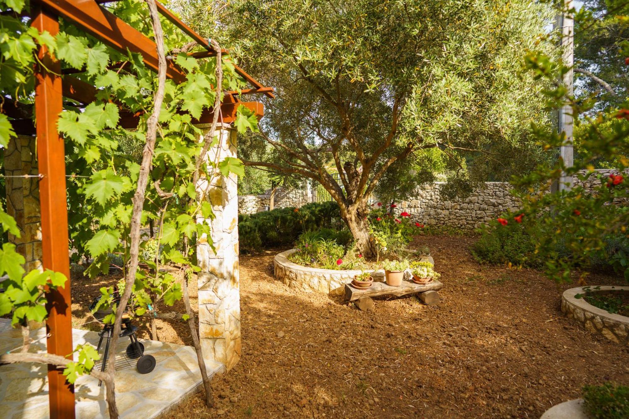 Apartment And Room Borka & Marko Mali Losinj Exterior photo