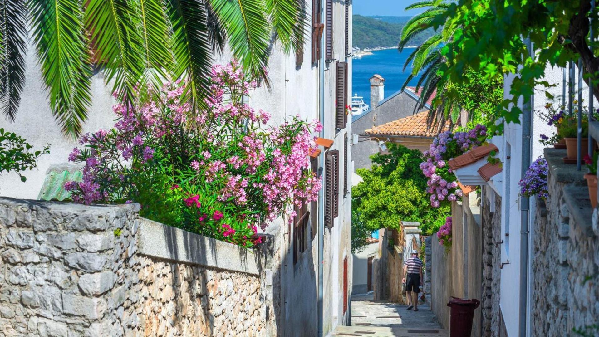 Apartment And Room Borka & Marko Mali Losinj Exterior photo